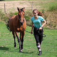 Séance particulière d’équitation, axée sur une approche personnalisée, pour une progression individuelle du cavalier.